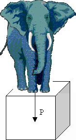 Elephant standing on the meshed cube